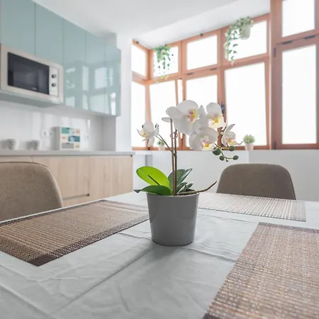 Vegueta Cool 2br - Workfriendly Holiday home Las Palmas de Gran Canaria